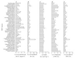 Image result for Zygophyllum leucocladum