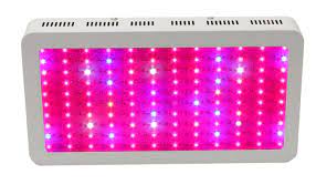 Full spectrum led grow lights. What Are Full Spectrum Led Grow Lights Waveform Lighting