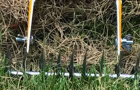 Ideal thatch layer thickness is 1/2 inch, but your lawn will still continue to have healthy growth with up to 1 inch of thatch. How To Dethatch Your Lawn