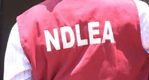 National drug law enforcement agency. Recruitment Ndlea Releases Candidates List For Final Screening