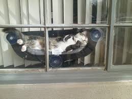 Cat window hammock plush bed, comfortable cat pet shelf seat, portable cat window perch suction cup hammock, modern fashion cat furniture gvwqqa. My Friend Has A Hammock For Their Cat Aww