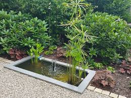 Mini Pond In The Garden Water In The Garden With Water Sprinklers And Pond Plants Dream Garden Backyards Garden Design Pond Plants