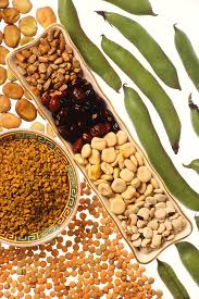 Lentils in telugu and english. Legume Wikipedia