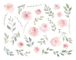 Pink Watercolor Floral Clipart Free Commercial Use Blush Light Etsy Floral Watercolor Free Clip Art Pink Watercolor Flower