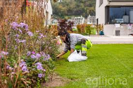 Professional garden care & maintenance | egli jona