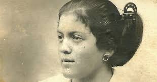 Breve histórico e dados de Seara, Santa Catarina.