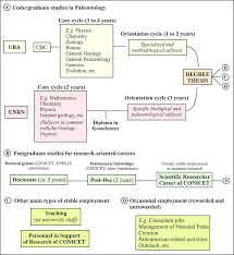 flow chart summarizing the academic career for