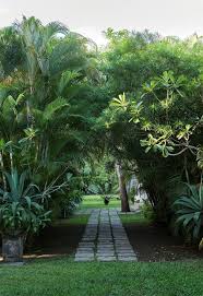 You Don T Need To Travel To A Tropical Island In Asia Or The South Pacific To Escape The Pressures Of Mode Tropical Garden Design Tropical Garden Garden Design
