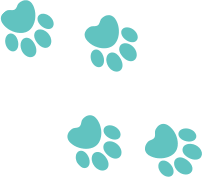 Wir geben dir letztendlich hier die möglichkeit, die verschiedenen produkte unter einander in ruhe anzuschauen und zu vergleichen. Welcher Hund Passt Zu Mir Test Durchfuhren Purina