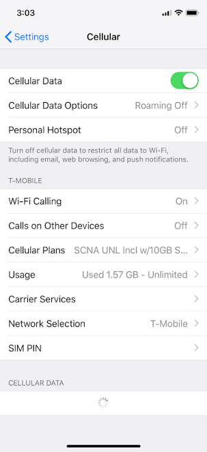 Cellular Settings Won't Load on iPhone X - Apple Community