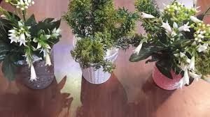 ديكور ايكيا باسكيت الزرع الزينة فازة ورد السبت التركى ب ١٥ جنيه Ikea Planting Basket Youtube