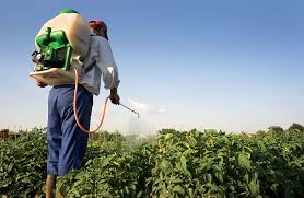 Is your pest control company fully massachusetts department of agricultural resources massachusetts pest control experience required: Spcb Hard Copy Courses Young S Seminars