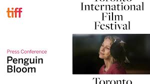 Sinopsis penguin bloom (2020) : Press Conference Penguin Bloom Tiff 2020 Youtube