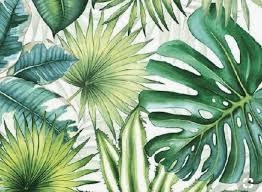 Drawing Nature From Flowers Grades K 2 One River School Westport 49,000+ vectors, stock photos & psd files.