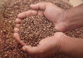 Aquarium soil ensures good and active growth from the beginning, and boosts the red plant shades. Can You Use Normal Soil In An Aquarium Kings Of The Aquarium
