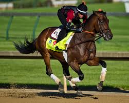 Sunland Derby Entries Results And Prior Race History