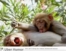 Hasil carian imej untuk funny sex