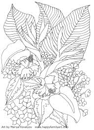 Tropical unique flower flower coloring pages. Tropicalflowers Happy Family Art
