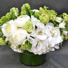We did not find results for: Autumn Anemone Delivery Los Angeles H A Floral Design