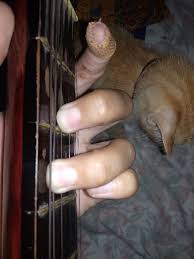 Namun umumnya orang menggunakan edim7 sebagai jembatan, maksudnya chord dim7 yang sering digunakan. Kumpulan Chord Dan Lirik Lagu Chintya Gabriella Percaya Aku C Wattpad
