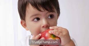 1,000+ Best Middle Names For Zane 2025