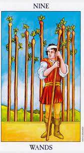 انتقل الى الحياة التي دائما تحلم فيها Ø§Ù„ØªØ§Ø±ÙˆØª Ù‚Ø±Ø§Ø¡Ø© Ùˆ ØªØ¹Ù„ÙŠÙ… Learntarot Profile Pinterest