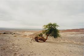 Santiago lange • contra viento y marea. Stuart Franklin Hatje Cantz Fotoblog