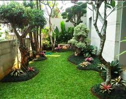 Sebaiknya ada pencahayaan yang cukup juga ya agar tanaman dapat tumbuh dengan baik meskipun di dalam rumah. Jasa Pembuatan Taman Minimalis Jual Tanaman Tabebuya Tinggi 3 4meter Konstruksi Dan Taman 801834334