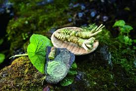 「奥多摩」の画像検索結果