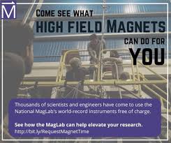 Margaret-Anne Wampamba