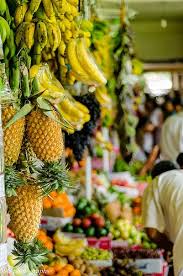 Holidays In Sri Lanka With Secret Lanka Sri Lanka Pineapple Sri Lanka Travel