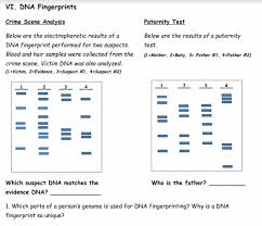 A satellite dna which shows a very high. Genetic Engineering Review Worksheet Amped Up Learning