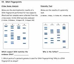 In addition to adopted children finding their birth parents or settling paternity suits, dna fingerprinting has been used to establish a relationship in cases of inheritance. Genetic Engineering Review Worksheet Amped Up Learning