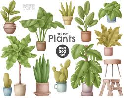 House Plants Clipart Set Digital Downloadable Illustrations Etsy House Plants Clip Art Plants