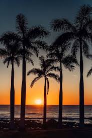 Check spelling or type a new query. Beach Sunset Silhouette Painting Painting Inspired