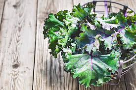 11.03.2021 · these recipes often go beyond lettuce, leaning on crisp fennel, earthy kale, crunchy broccoli, luscious peaches, scrunched cabbage, and more. How To Grow And Harvest Red Russian Kale Gardener S Path