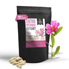 Rock Rose Cistus Incanus Extract 120 Capsules Lab Tested Pure 100 Vegan Ebay