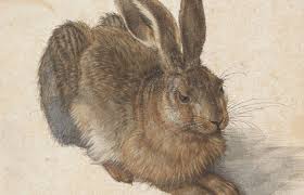 Joseph beuys ist einer der weltweit bedeutendsten künstler des 20. Albrecht Durer Feldhase 1502 Beruhmteste Naturstudie Des Nurnbergers