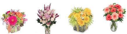Maybe you would like to learn more about one of these? The 13 Best Options For Flower Delivery In Atlanta 2021