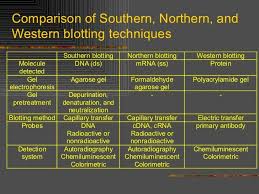 Southern Dna Probed By Antiparallel Dna Sequence Vs Northern Rna Probed By Complementary Rna V S Western Pr Microbiology Study Dna Probe Molecular Biology