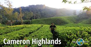 Comfortable and luxury apartment, walking distance to tanah rata, located at 3rd floor prima villa apartment tanah rata. Cameron Highlands Travel Tips