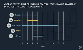 The average growth of human hair is around 0.5 inches a month. How Long Do Drugs Stay In Your System Drug Half Life Drug Tests