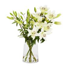 This will triple fresh cut flowers life time plus keep them bright and vivid! Cut Flowers Bouquets Flowers Plants Gifts Checkers Za
