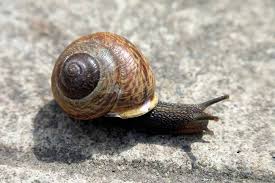 La mejor programación la encuentras en caracol televisión: Productores De Caracol Se Enfocan En Los Mercados Internacionales