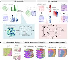 SANTO: a coarse-to-fine alignment and stitching method for spatial omics |  Nature Communications