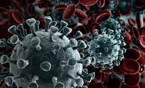 It was first identified in december 2019 in wuhan,. 10 Facts About The Coronavirus Faculty Of Medicine Uib