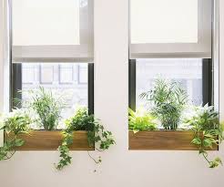 Pin By The Sill On Window Boxes Indoor Window Planter Best Office Plants Window Plants