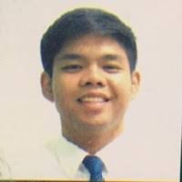 300+ "Ray Vin" profiles