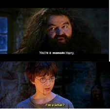 You're a wizard, harry, often intentionally misspelled yer a wizard, harry, refers to a memorable dialogue from 2001 film harry potter and the philosopher's stone in which character hagrid reveals to harry potter that he is a wizard, with harry reacting with surprise. You Re A Mamodo Harry You Re A Wizard Harry Know Your Meme