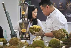The place is very popular during the durian season and you can find two types of durians there—the popular mao shan wang and d24. Malaysia Bets On Durian As China Goes Bananas For World S Smelliest Fruit Arab News